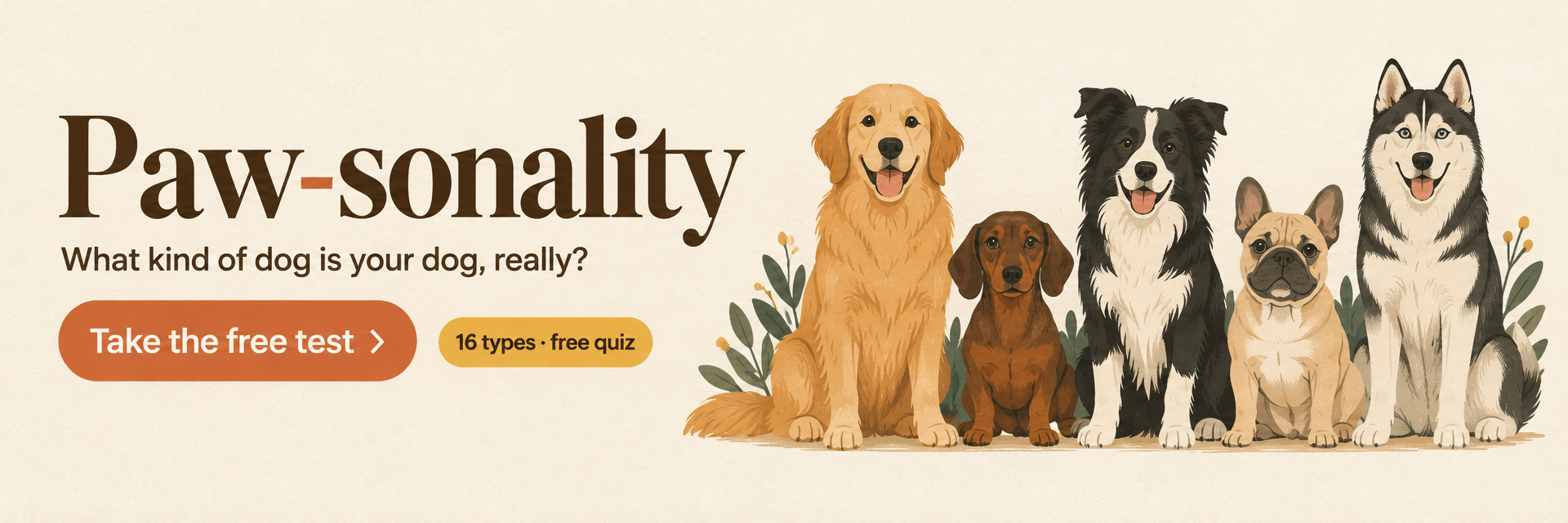 Paw-sonality banner with illustrated dogs: What kind of dog is your dog, really? Take the free test